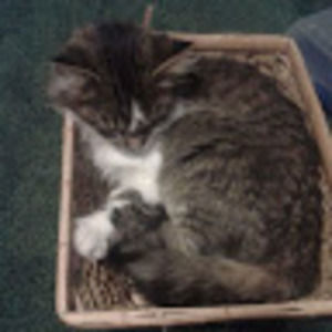 Meet your Posher, Cherrielynn